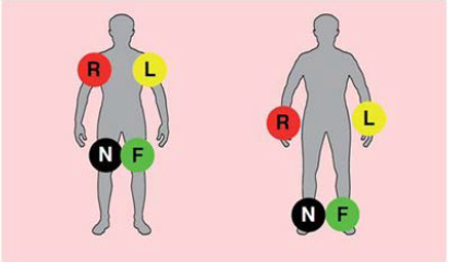 Untitled 8 6.png|Untitled 8 6.png