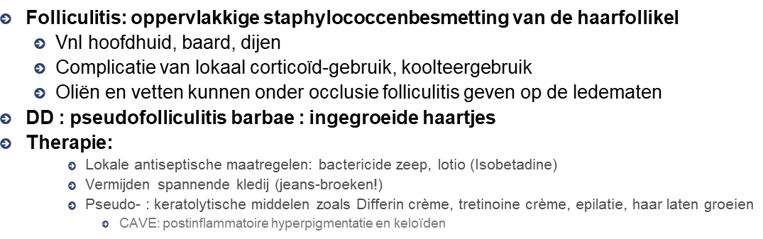 Untitled 9 3.png|Untitled 9 3.png