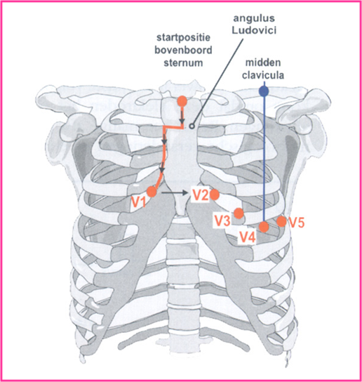 Untitled 9 6.png|Untitled 9 6.png